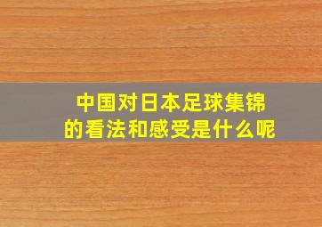 中国对日本足球集锦的看法和感受是什么呢