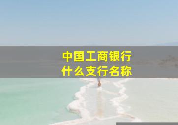 中国工商银行什么支行名称