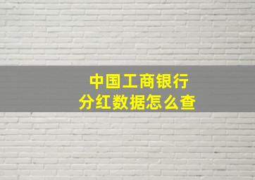 中国工商银行分红数据怎么查