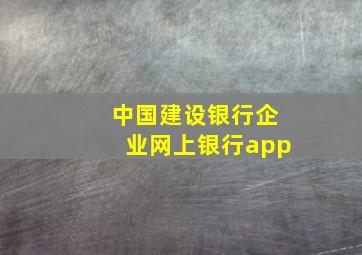 中国建设银行企业网上银行app