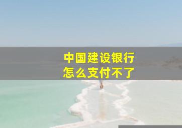 中国建设银行怎么支付不了