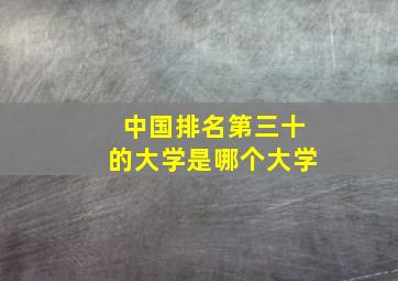 中国排名第三十的大学是哪个大学