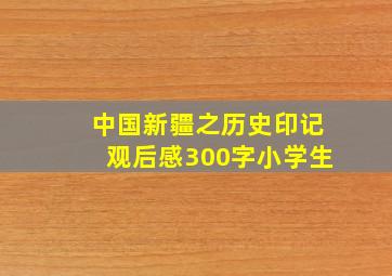 中国新疆之历史印记观后感300字小学生