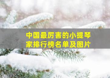 中国最厉害的小提琴家排行榜名单及图片