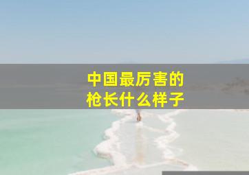 中国最厉害的枪长什么样子