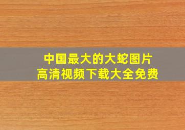 中国最大的大蛇图片高清视频下载大全免费