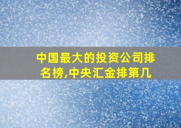 中国最大的投资公司排名榜,中央汇金排第几