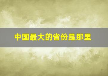 中国最大的省份是那里