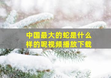 中国最大的蛇是什么样的呢视频播放下载