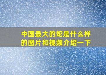 中国最大的蛇是什么样的图片和视频介绍一下