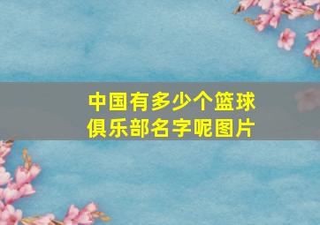 中国有多少个篮球俱乐部名字呢图片