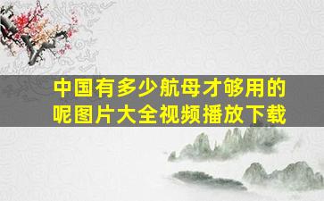 中国有多少航母才够用的呢图片大全视频播放下载