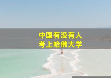 中国有没有人考上哈佛大学