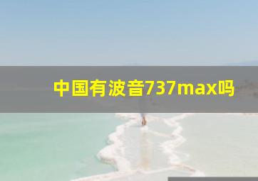 中国有波音737max吗