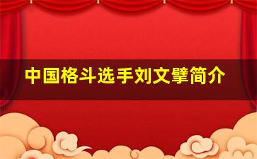 中国格斗选手刘文擘简介