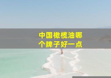 中国橄榄油哪个牌子好一点