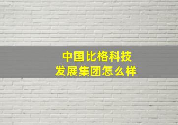 中国比格科技发展集团怎么样