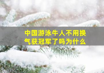 中国游泳牛人不用换气获冠军了吗为什么