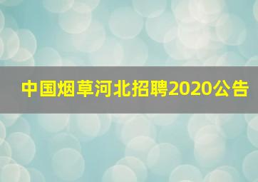 中国烟草河北招聘2020公告