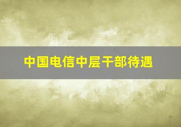 中国电信中层干部待遇