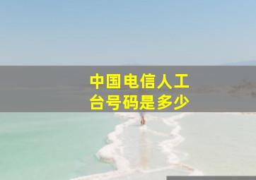 中国电信人工台号码是多少