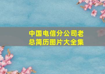 中国电信分公司老总简历图片大全集