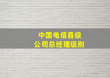 中国电信县级公司总经理级别