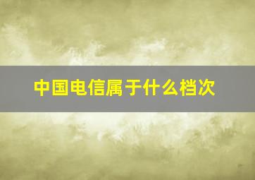 中国电信属于什么档次