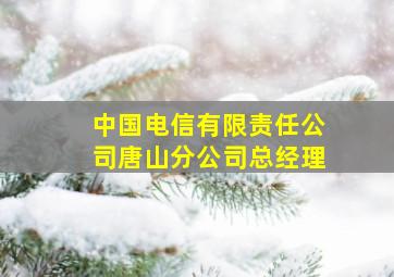 中国电信有限责任公司唐山分公司总经理