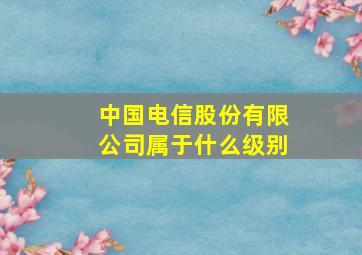 中国电信股份有限公司属于什么级别