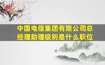 中国电信集团有限公司总经理助理级别是什么职位