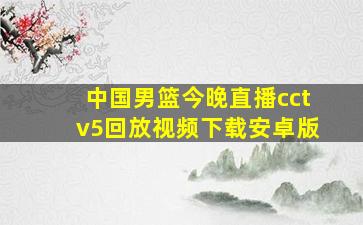 中国男篮今晚直播cctv5回放视频下载安卓版