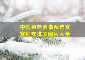 中国男篮赛事预选赛赛程安排表图片大全