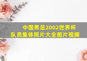 中国男足2002世界杯队员集体照片大全图片视频