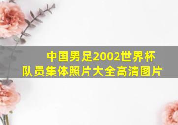 中国男足2002世界杯队员集体照片大全高清图片