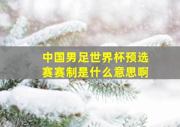 中国男足世界杯预选赛赛制是什么意思啊