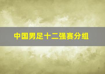 中国男足十二强赛分组