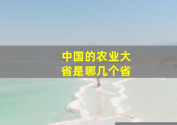 中国的农业大省是哪几个省