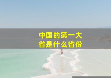 中国的第一大省是什么省份