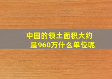 中国的领土面积大约是960万什么单位呢