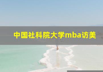 中国社科院大学mba访美