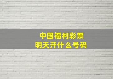 中国福利彩票明天开什么号码