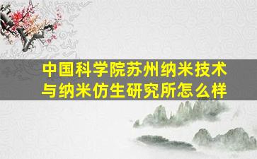 中国科学院苏州纳米技术与纳米仿生研究所怎么样