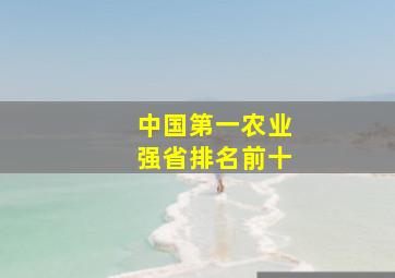 中国第一农业强省排名前十