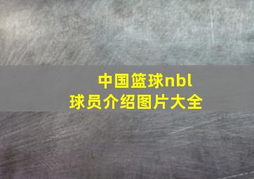 中国篮球nbl球员介绍图片大全