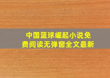 中国篮球崛起小说免费阅读无弹窗全文最新