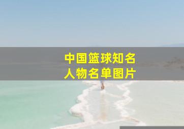 中国篮球知名人物名单图片