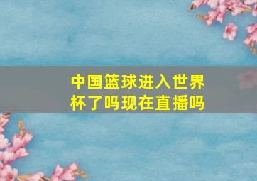 中国篮球进入世界杯了吗现在直播吗