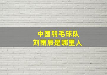 中国羽毛球队刘雨辰是哪里人