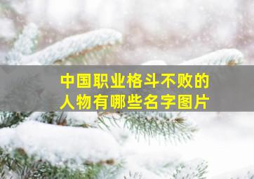 中国职业格斗不败的人物有哪些名字图片